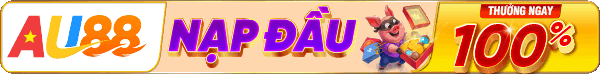 banner footer QH88